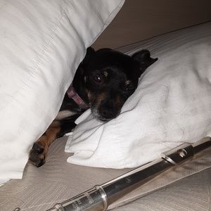 Meet your Posher, Diane